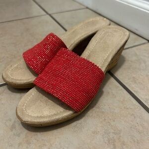 Red wedges.